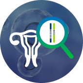 BRCA1/BRCA2 somatic mutation