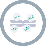 TMB score (Tumor Mutational Burden)