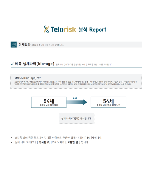 텔로리스트 분석 리포트 화면