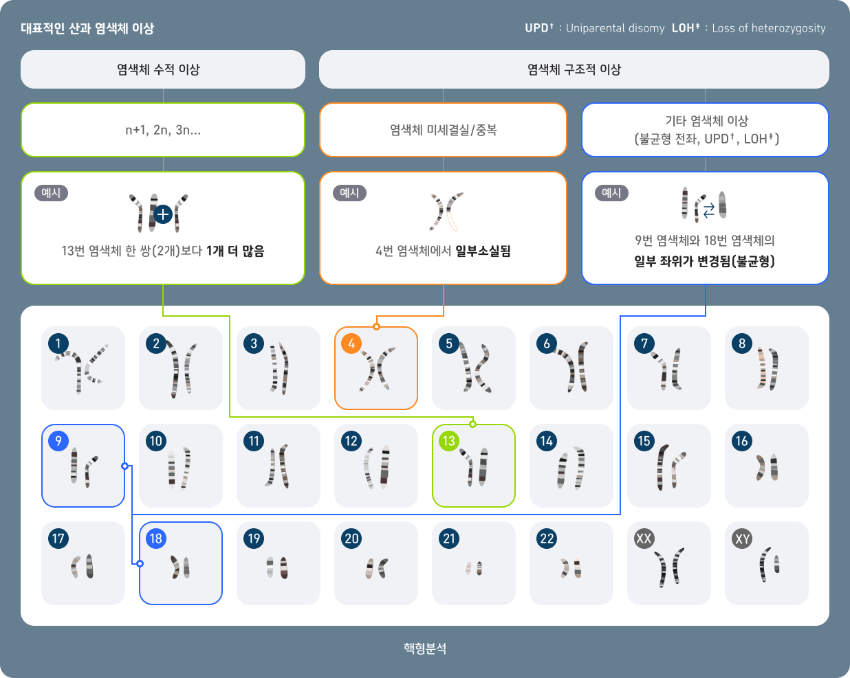 대표적인 산과 염색체 이상 설명표