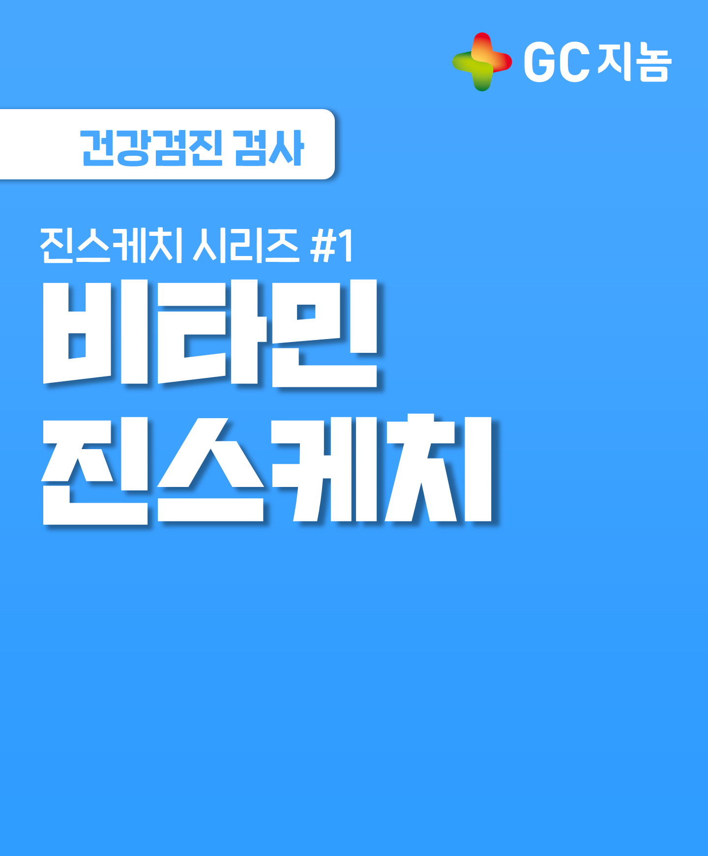 [진스케치 시리즈 #1] 비타민 진스케치 알아보기